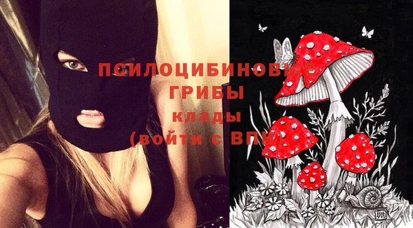 jwh Ладушкин