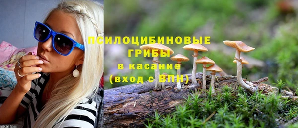 jwh Ладушкин