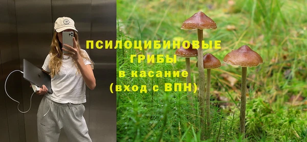марки lsd Абаза