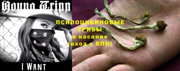 jwh Ладушкин