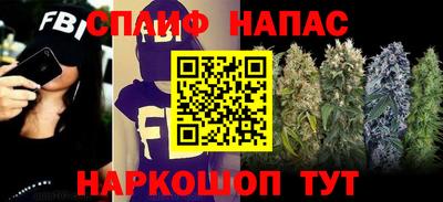 индика Апшеронск