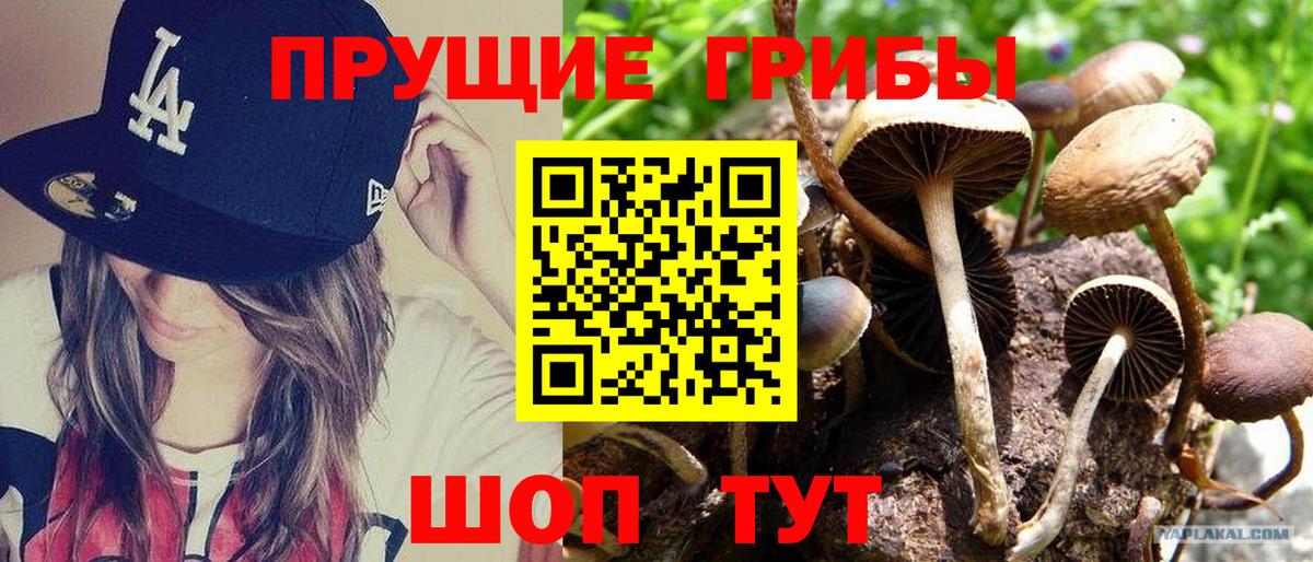 Кодеин Омск