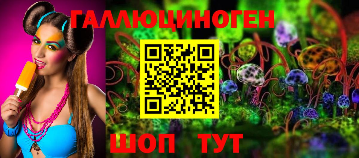 Псилоцибиновые грибы Psilocybe Омск